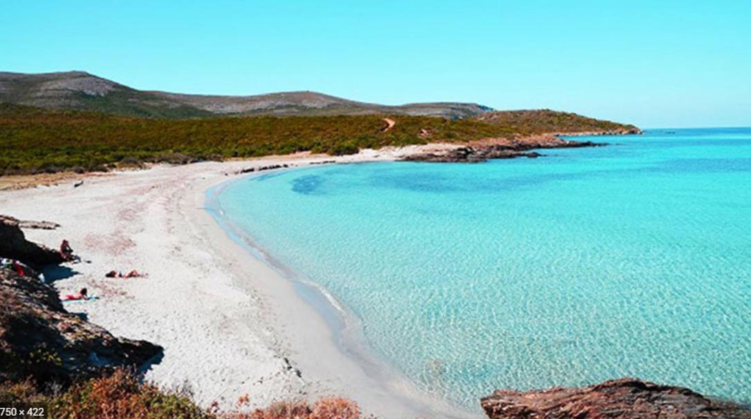 Coin De Paradis Vue Dominante Sur Mer, Montagne Et Tour Genoise Avec Jacuzzi Pino Екстер'єр фото