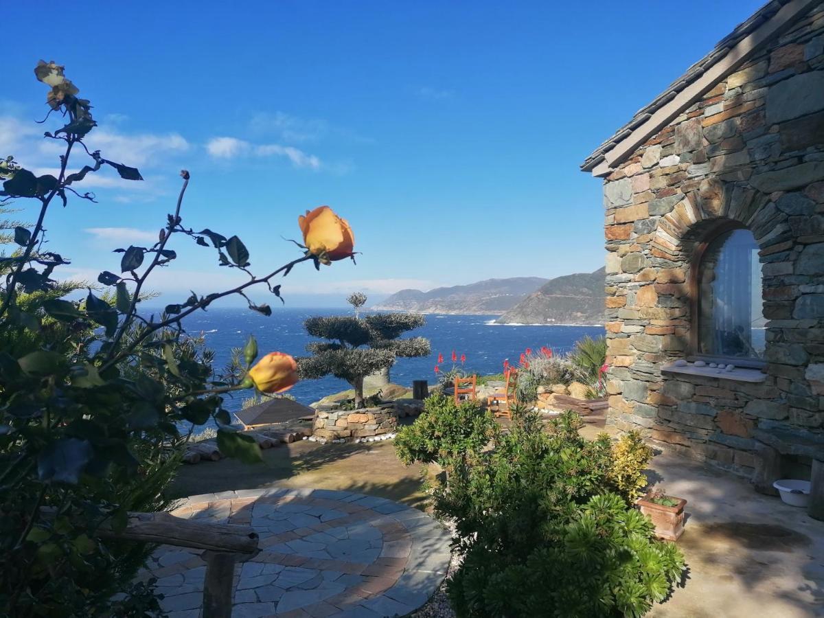 Coin De Paradis Vue Dominante Sur Mer, Montagne Et Tour Genoise Avec Jacuzzi Pino Екстер'єр фото