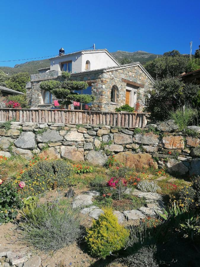 Coin De Paradis Vue Dominante Sur Mer, Montagne Et Tour Genoise Avec Jacuzzi Pino Екстер'єр фото