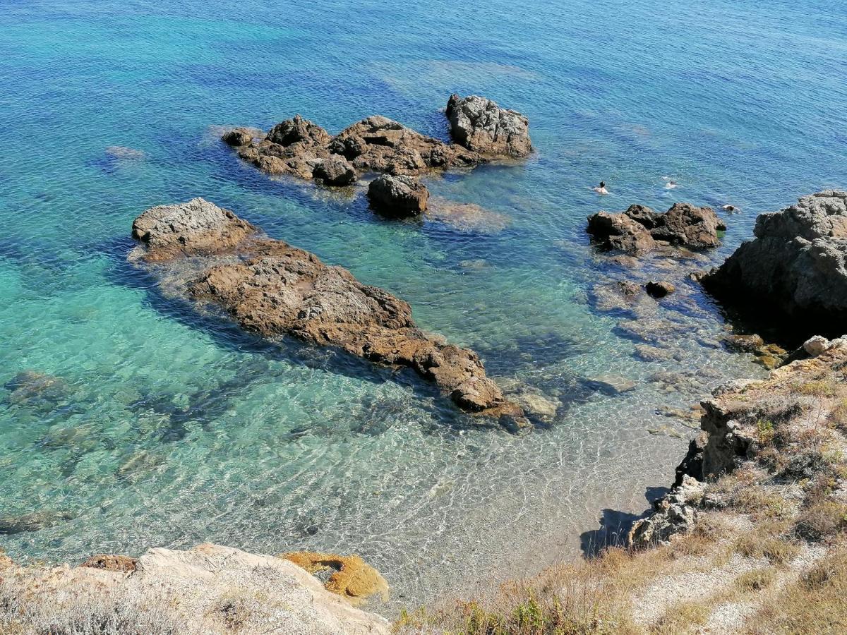 Coin De Paradis Vue Dominante Sur Mer, Montagne Et Tour Genoise Avec Jacuzzi Pino Екстер'єр фото
