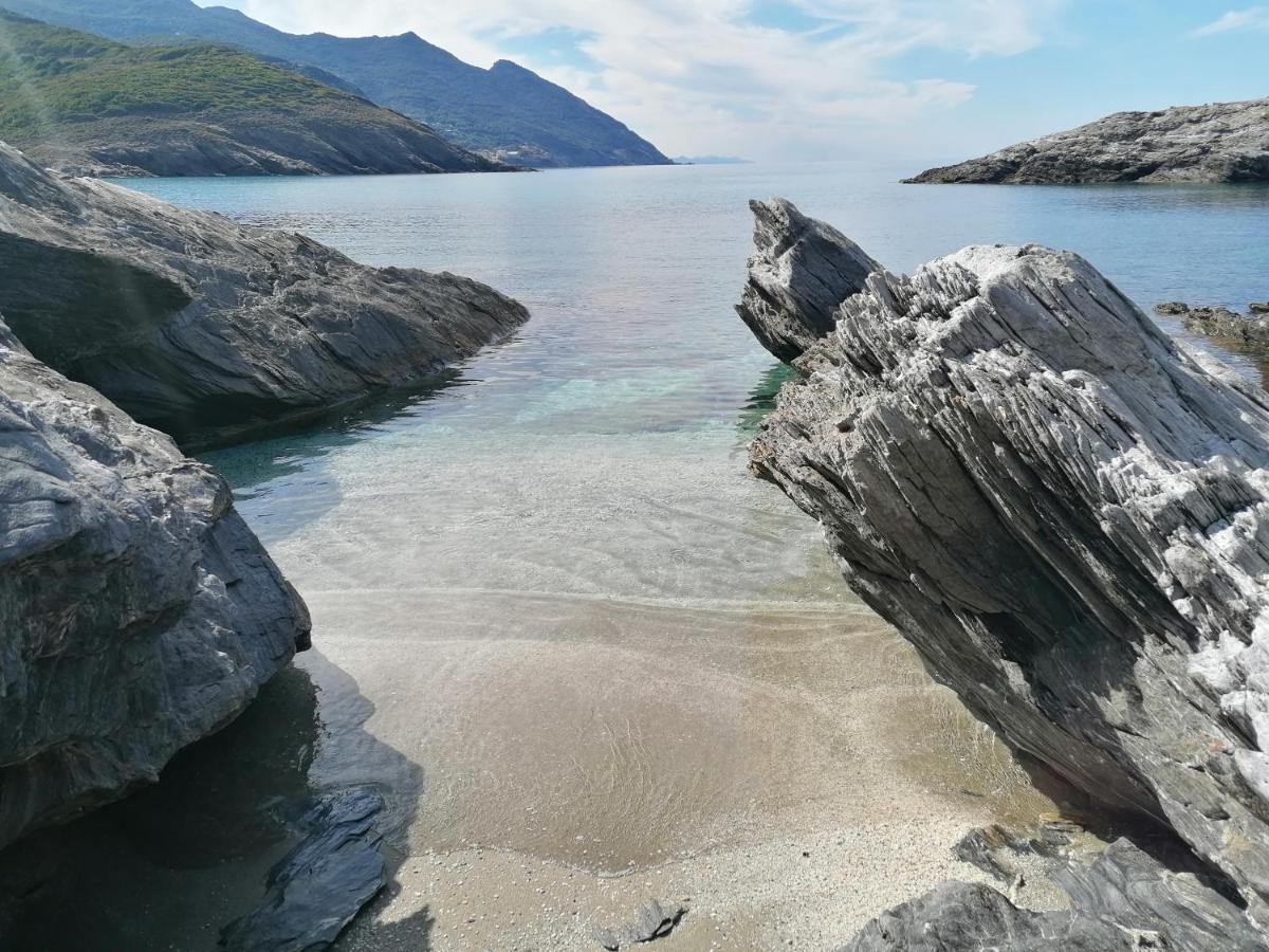 Coin De Paradis Vue Dominante Sur Mer, Montagne Et Tour Genoise Avec Jacuzzi Pino Екстер'єр фото