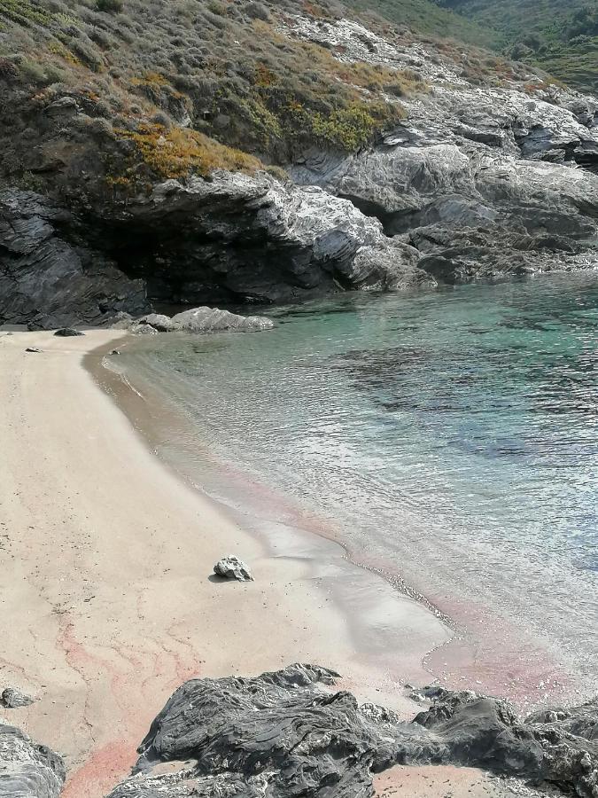 Coin De Paradis Vue Dominante Sur Mer, Montagne Et Tour Genoise Avec Jacuzzi Pino Екстер'єр фото
