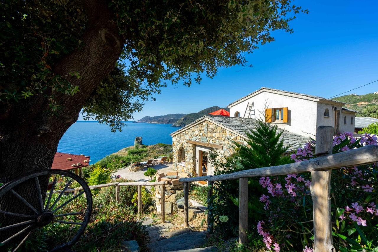 Coin De Paradis Vue Dominante Sur Mer, Montagne Et Tour Genoise Avec Jacuzzi Pino Екстер'єр фото